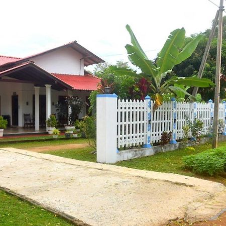 Wilpattu Lakwin Guest Hotel Pahala Maragahawewa Ngoại thất bức ảnh