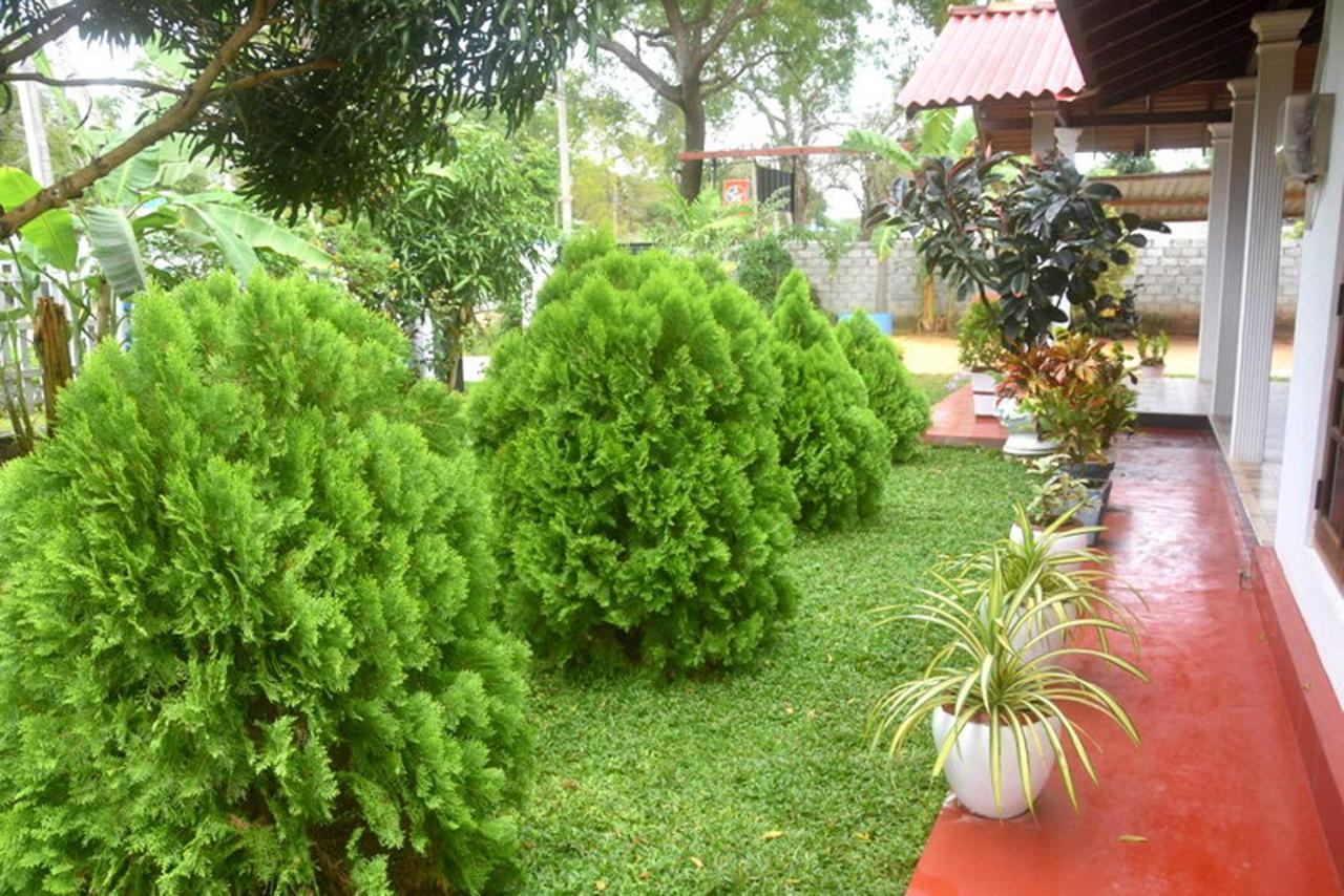 Wilpattu Lakwin Guest Hotel Pahala Maragahawewa Ngoại thất bức ảnh
